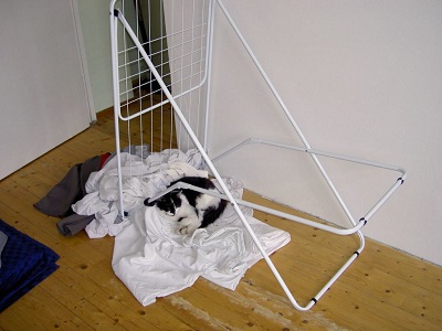 кот45, знакомая картина.jpg