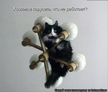 кот72.jpg
