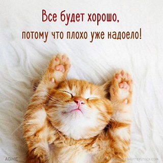 кот104.jpg
