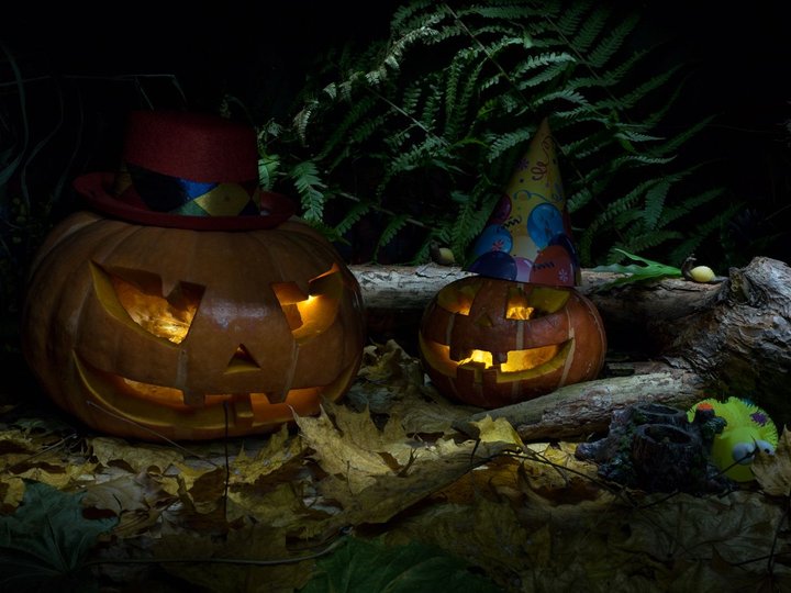 PB010032.jpg (137.76 КБ) Просмотров: 9752 PB010032.jpg