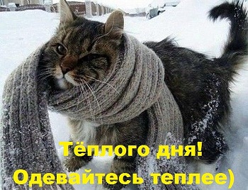 к27.jpg