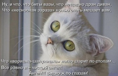 к35.jpg