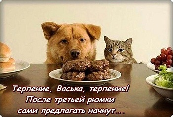 к38.jpg