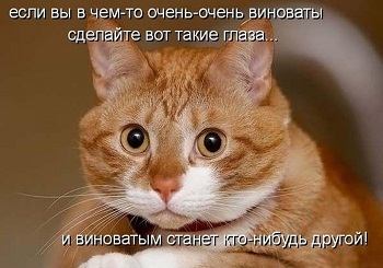 к39.jpg