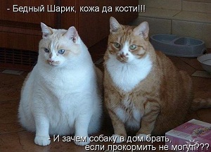 к81.jpg к81.jpg