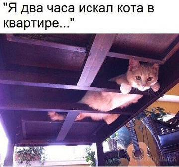 к157.jpg