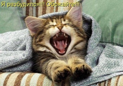 к158.jpg