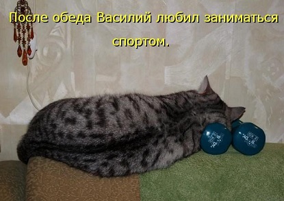 к170.jpg
