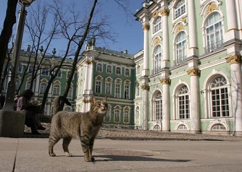 к181.jpg к181.jpg