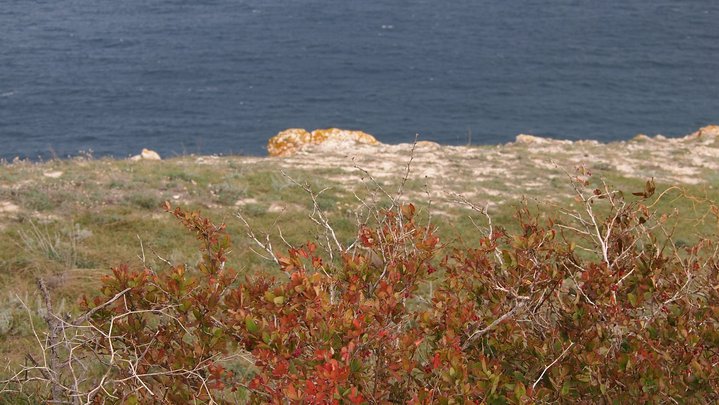 1.jpg (753.46 КБ) Просмотров: 3425 1.jpg