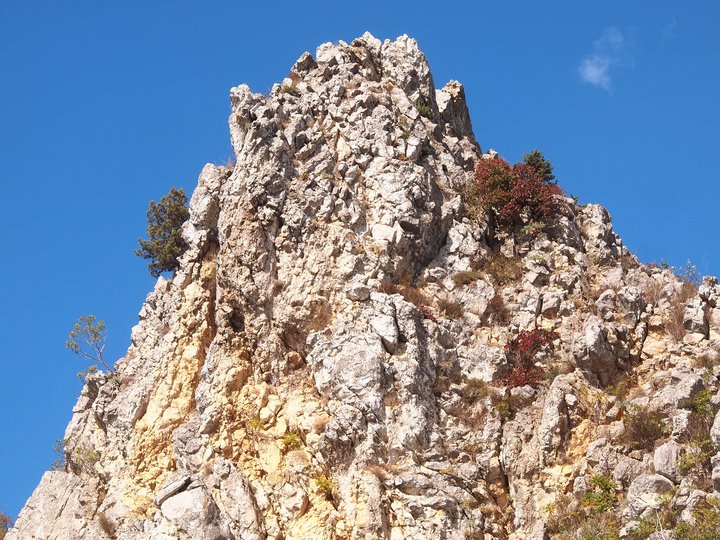 1.jpg (1.44 МБ) Просмотров: 2610 1.jpg