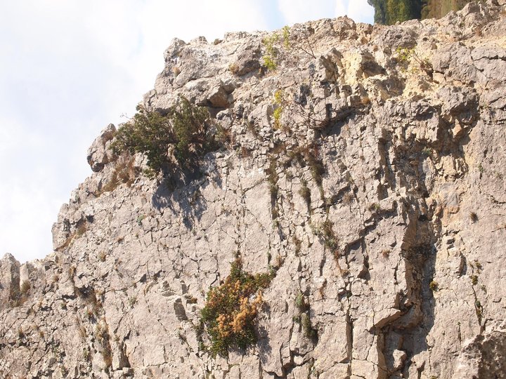 7.jpg (1.54 МБ) Просмотров: 2611 7.jpg