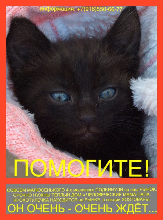 5B8D23AC-3A75-4D61-BBEC-770FE875568F.jpeg (433.8 КБ) Просмотров: 1402 5B8D23AC-3A75-4D61-BBEC-770FE875568F.jpeg