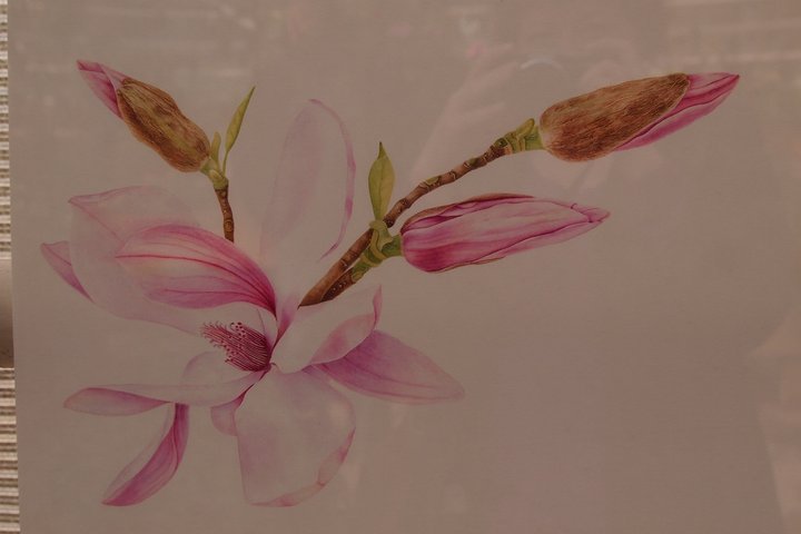 P1010046.JPG (443.62 КБ) Просмотров: 1437 P1010046.JPG