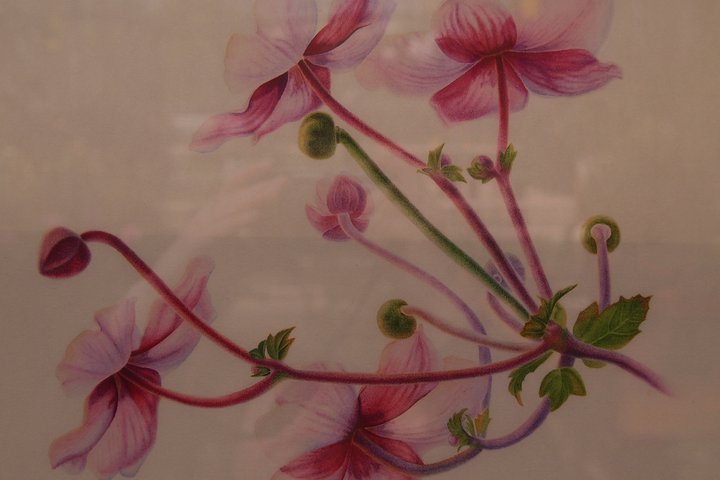 P1010045.JPG (537.19 КБ) Просмотров: 1342 P1010045.JPG