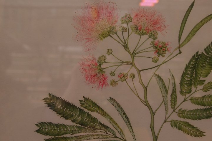 P1010038.JPG (586.77 КБ) Просмотров: 1634 P1010038.JPG