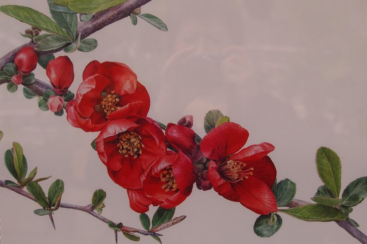 P1010034.JPG (537.1 КБ) Просмотров: 1481 P1010034.JPG