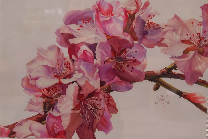 P1010033.JPG (587.33 КБ) Просмотров: 1481 P1010033.JPG