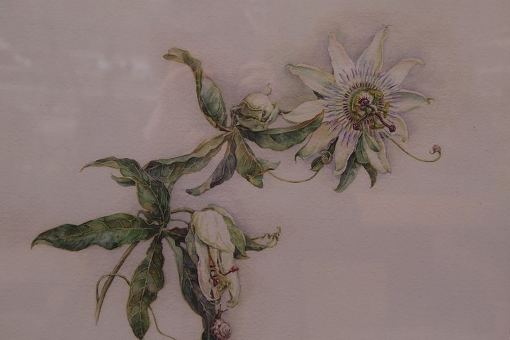 P1010032.JPG (575.77 КБ) Просмотров: 1443 P1010032.JPG