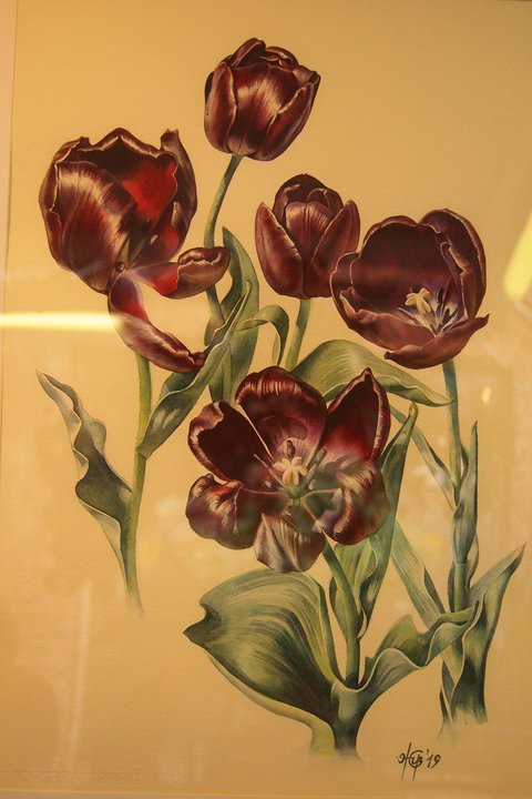 P1010167.JPG