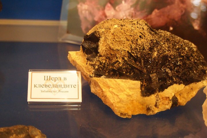 P1010176.JPG