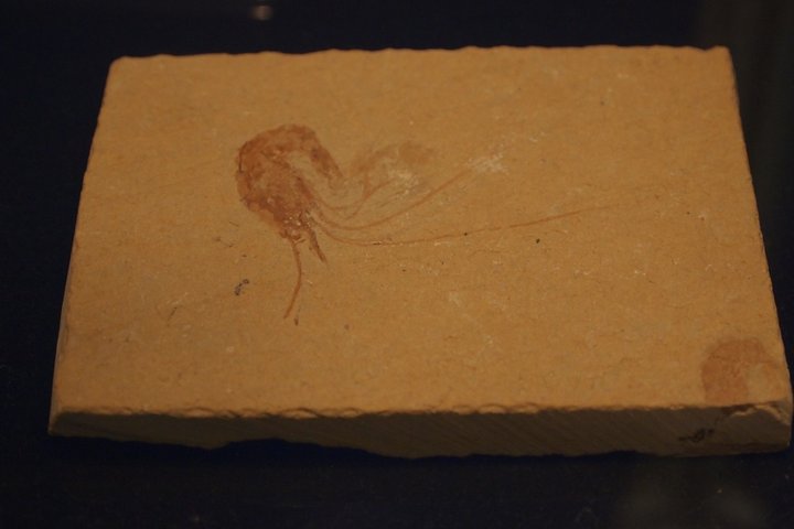 P1010214.JPG