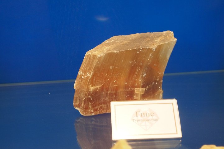 P1010193.JPG