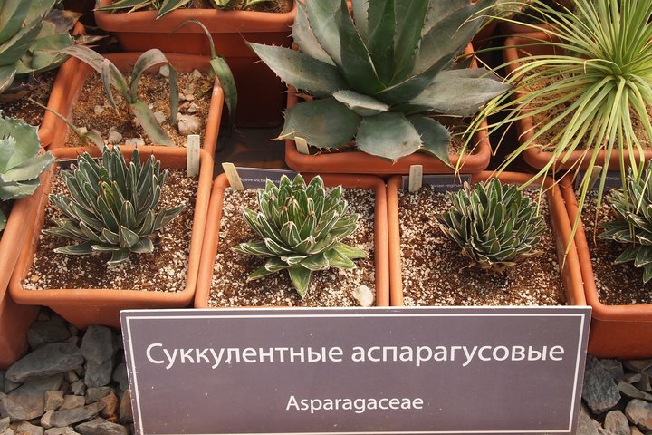 P1010274.JPG