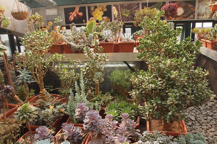 P1010282.JPG