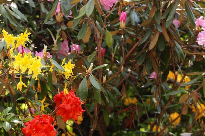P1011193.JPG