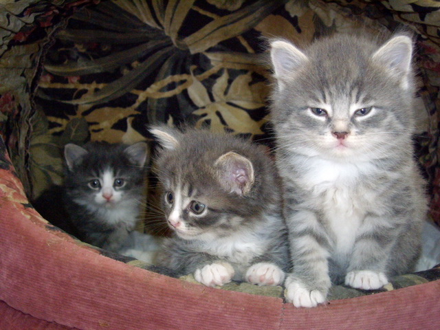 IMGP7807.JPG IMGP7807.JPG