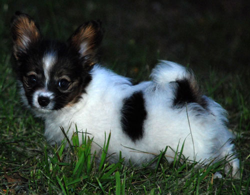 DSC_1013.JPG DSC_1013.JPG