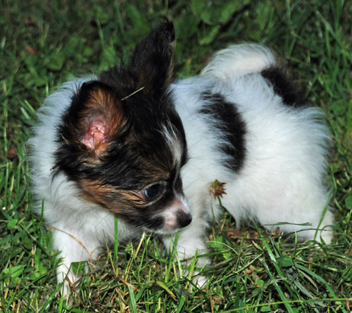 DSC_1010.JPG DSC_1010.JPG