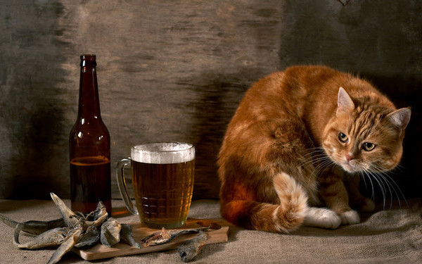 beer.jpg