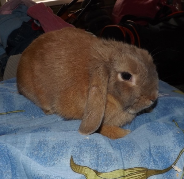 65f1c5c78bcfad5986124e169b91da55262733a1.JPG 65f1c5c78bcfad5986124e169b91da55262733a1.JPG