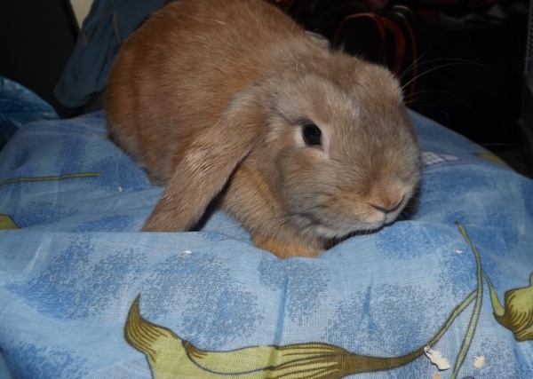 a708090ebd05e9eec0a426bfefd838af5defc7da.JPG a708090ebd05e9eec0a426bfefd838af5defc7da.JPG