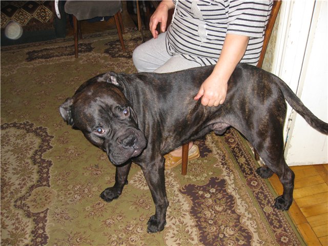 cd57032f0888.jpg cd57032f0888.jpg