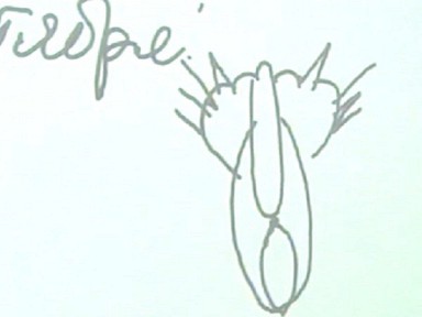 434349_original.jpg