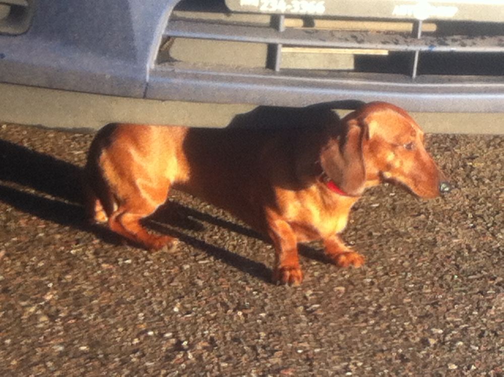 фотография.JPG фотография.JPG