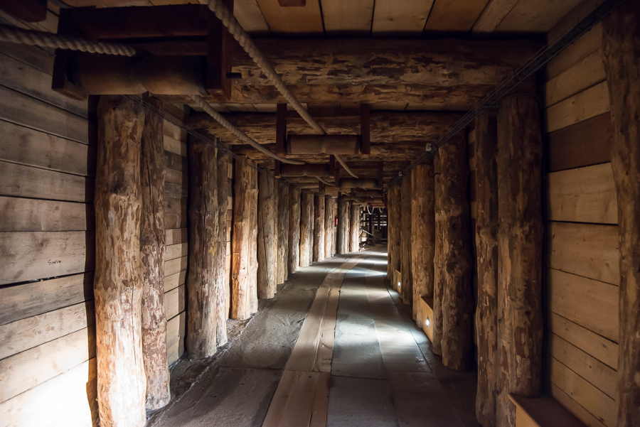 _DSC0284.jpg _DSC0284.jpg