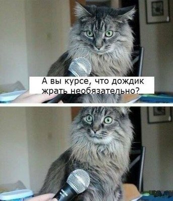 e59cf7241077cabc1e562d86bb03fb73.jpg