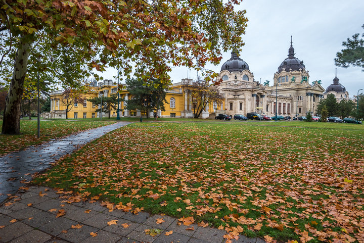 _DSC0520.jpg (642.91 КБ) Просмотров: 6872 _DSC0520.jpg