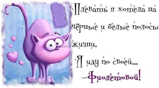 imiLXHPY9ss.jpg