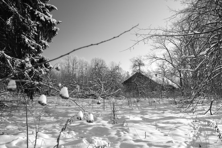 _DSC0875.jpg