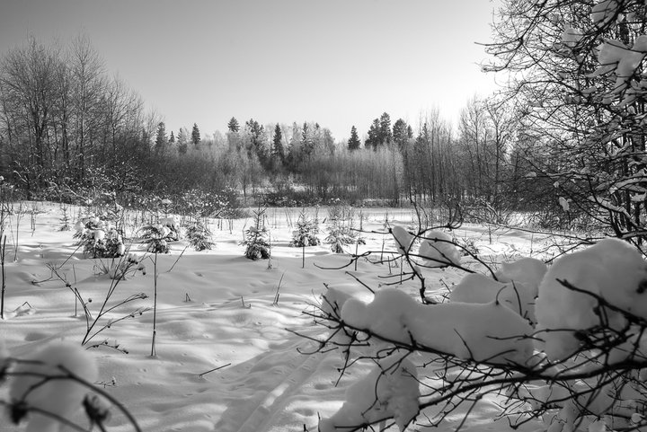_DSC0881.jpg