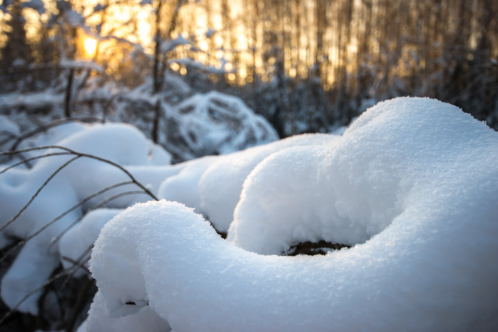 _DSC0901.jpg