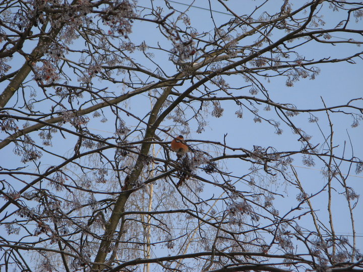 IMG_6826.jpg