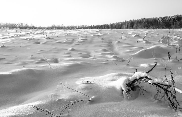 _DSC0907.jpg