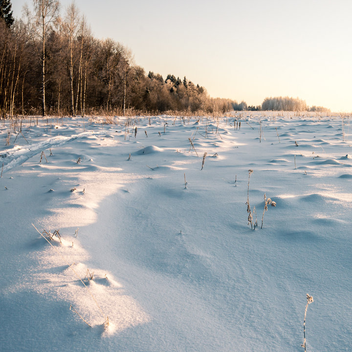 _DSC0908.jpg