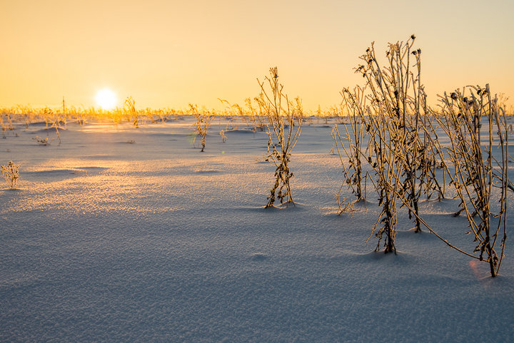 _DSC0933.jpg